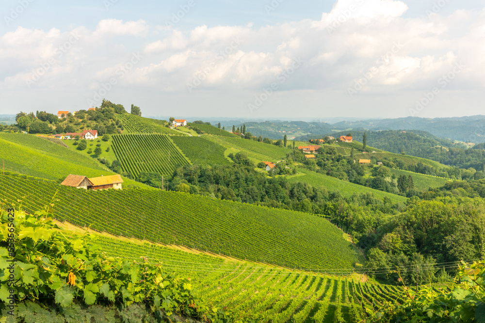 Panoramic view from vineyard to green hills of south styrian wine route in Austria. Panoramic view from vineyard to green hills of south styrian wine route in Austria.