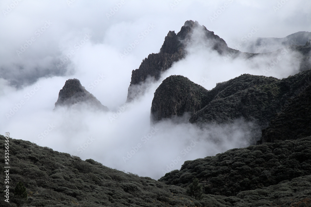 Gran Canaria, hiking route between Tenteniguada village in Valsequillo municipality and Pico de las Nieves