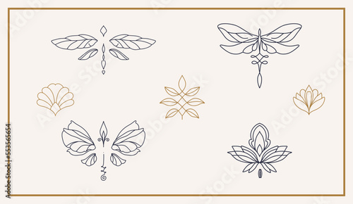 Fototapeta Naklejka Na Ścianę i Meble -  linear template logo symbols with luxury dragonfly on a nude background