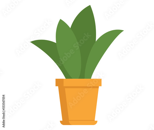 House plant in pot. Potted herb for office or house interior. Small bush with leaves in yellow ceramic container. Houseplant in plastic flowerpot for home decoration. Natural design indoor element