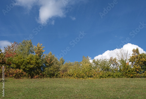 Idealbild einer idyllischen Natur mit gro  en und kleinen B  umen auf einem grasbewachsenen H  gel im Sp  tsommer und Herbst bei blauem Himmel