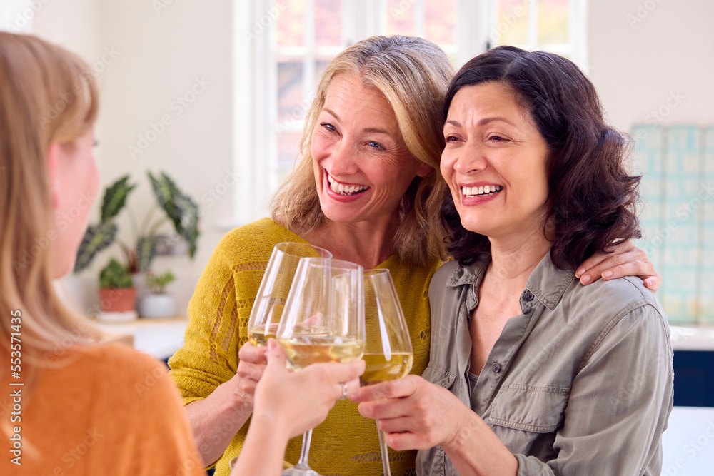 Same Sex Mature Female Couple With Friend Celebrating With Glass Of Wine At Home Together Same Sex Mature Female Couple With Friend Celebrating With Glass Of Wine At Home Together