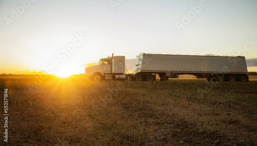 A grain transport truck sitting in a Canola field at sunset waiting for its next load; Legal, Alberta, Canada