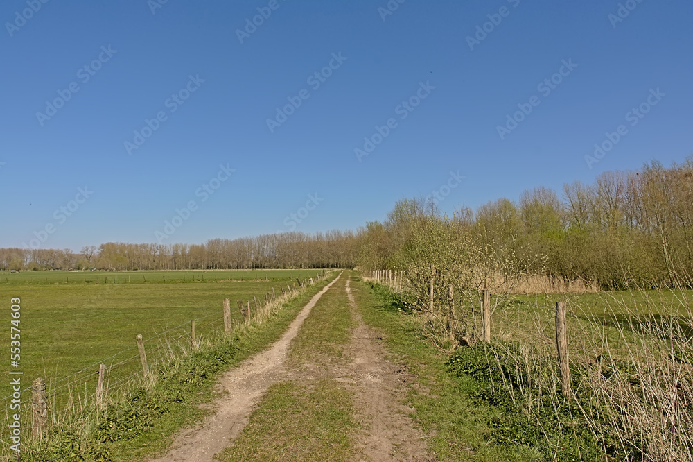 Dirtroad along fenced meadows in Scheldt valley ature reserve near Ghent, Flanders, Belgium on a sunny spring day with clear blue sky 