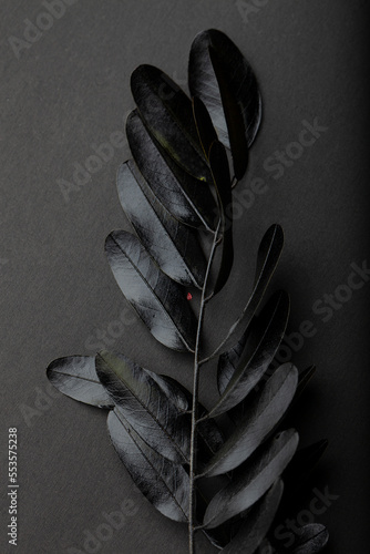 Texture pattern of black painted leaves on a black background. Monochrome dark background.