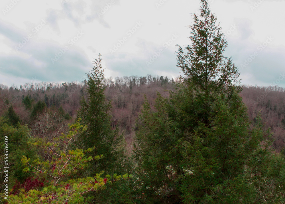 Fototapeta premium autumn in the mountains
