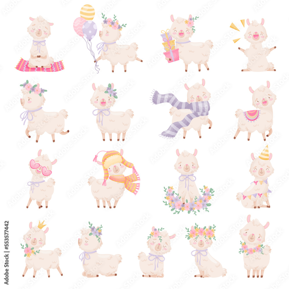 Cute Llamas with Wooly Coat and Happy Snout Big Vector Set