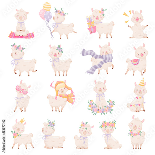 Cute Llamas with Wooly Coat and Happy Snout Big Vector Set