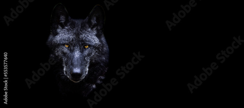 Obraz na płótnie Template of a black wolf with a black background w salonie