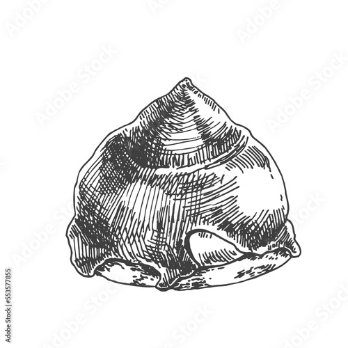 Hand drawn vector Schokokusse illustration. Traditional German marshmallow in chocolate dessert. Sweet soft cocoa zefir. Template for menu, ad, label, design