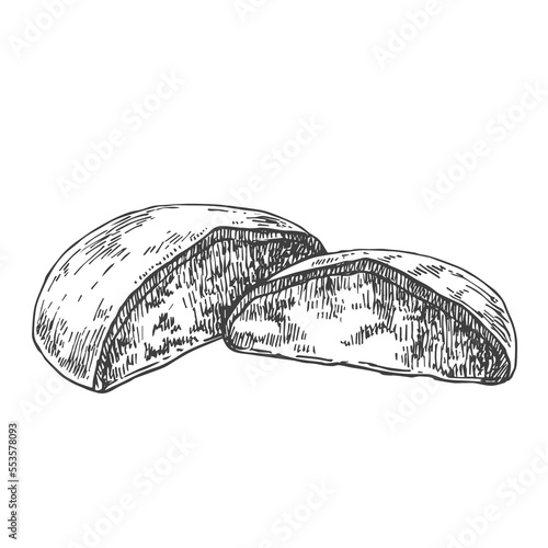 Hand drawn vector German gingerbread illustration. Sweet  nurnberger elisen lebkuchen. Traditional Christmas sweet dessert. Honey nut glazed cookies. Template for menu, design, ad