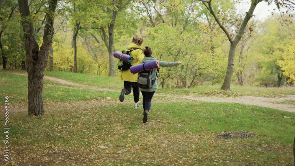 Rear view of hiker walks through the forest using wooden stick, close up of a backpack with mat Rear view of hiker walks through the forest using wooden stick, close up of a backpack with mat