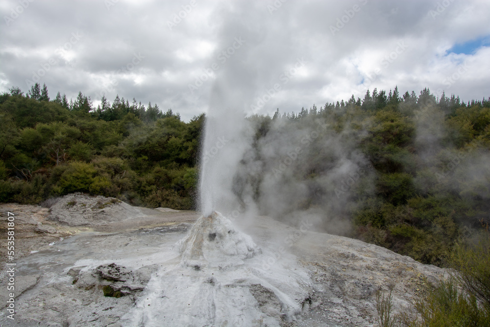 Geyser Geyser