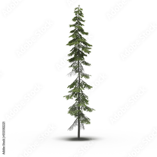 large tree with a shadow under it, isolated on white background, 3D illustration, cg render © vadim_fl