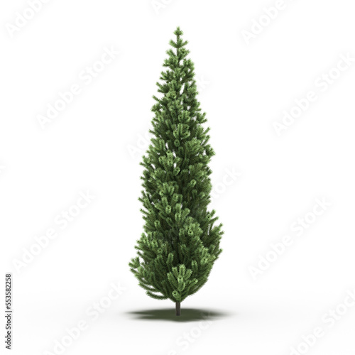large tree with a shadow under it, isolated on white background, 3D illustration, cg render