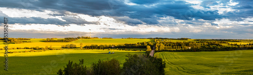 Panoramic landscape view of the Sturgeon River Valley with canola crops in full bloom at sunset; Namao, Alberta, Canada