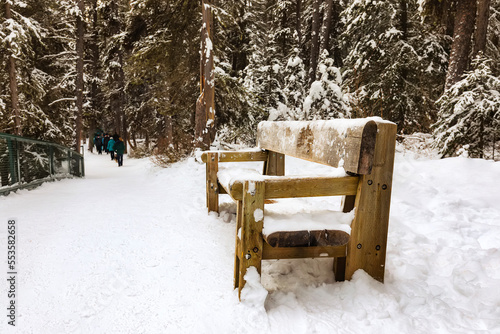 Wallpaper Mural Snow-covered hiking trail and bench at Johnston Canyon during winter in Banff National Park; Alberta, Canada Torontodigital.ca