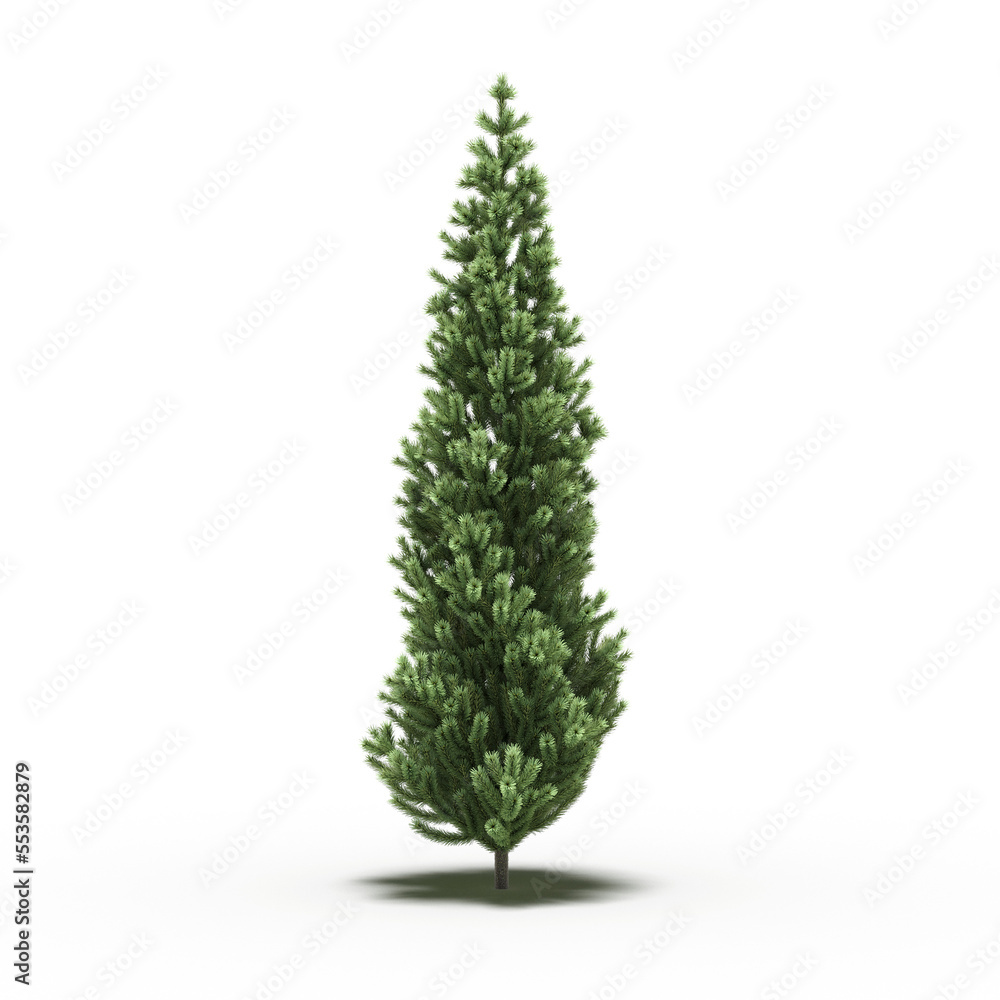 large tree with a shadow under it, isolated on a transparent background, 3D illustration, cg render
large tree with a shadow under it, isolated on a transparent background, 3D illustration, cg render