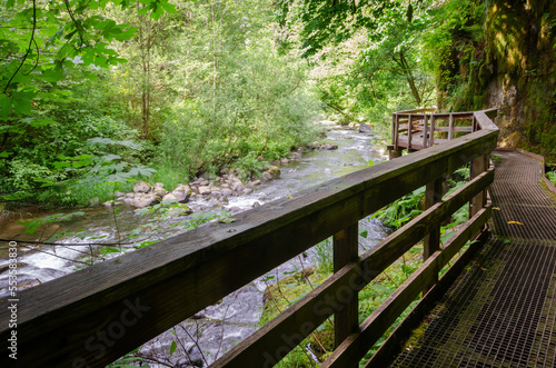 Sweet Creek Walkway