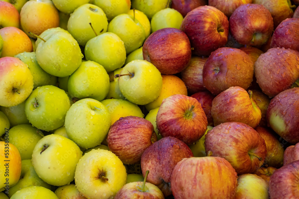 Variety of apples of different sorts in modern hypermarket Variety of apples of different sorts in modern hypermarket