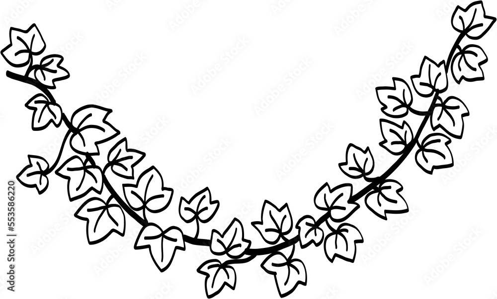 Fototapeta premium Simplicity ivy freehand drawing 