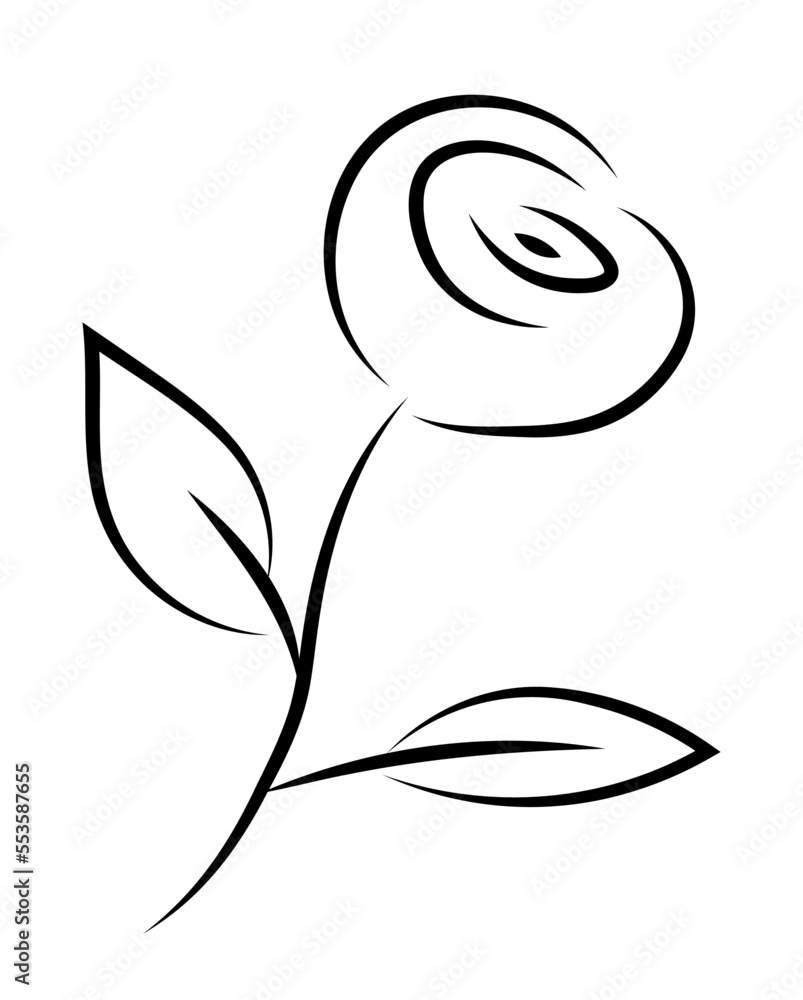 Fototapeta premium Róża kontury