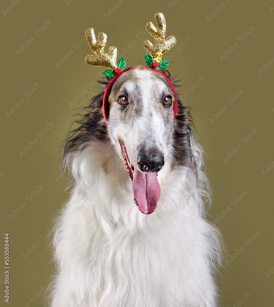 Fototapeta premium New year and Christmas concept with вog