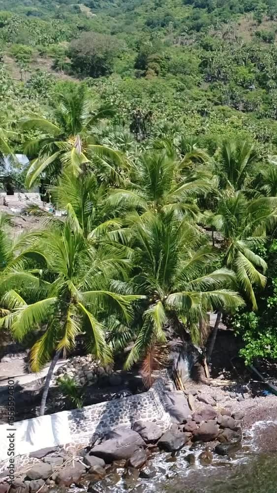 Vertical video of Aerial shot of the rocky coast of a remote tropical island with palm trees Vertical video of Aerial shot of the rocky coast of a remote tropical island with palm trees