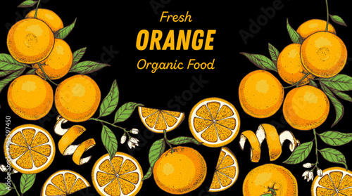 Orange fruit hand drawn design. Vector illustration. Design, package, brochure illustration. Orange fruit frame illustration. Design elements for packaging design and other.