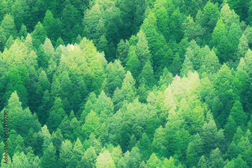 Vertical shot of beautiful green forest landscape background Generative AI
