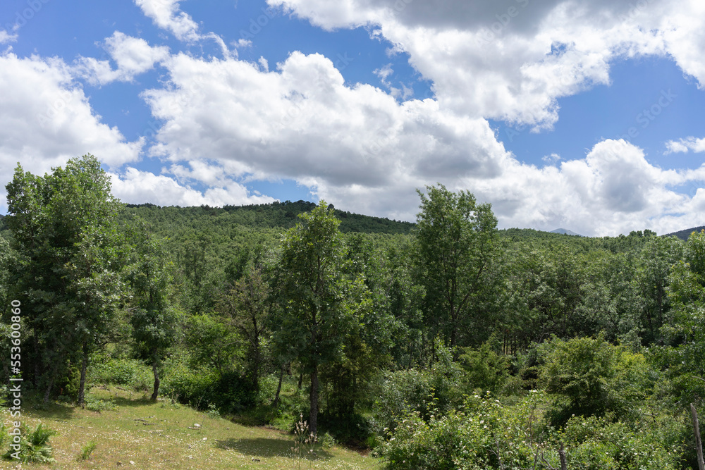 Photo with a lot of vegetation and very dense and green trees in the mountains of Rascafria, Madrid. Photo with a lot of vegetation and very dense and green trees in the mountains of Rascafria, Madrid.