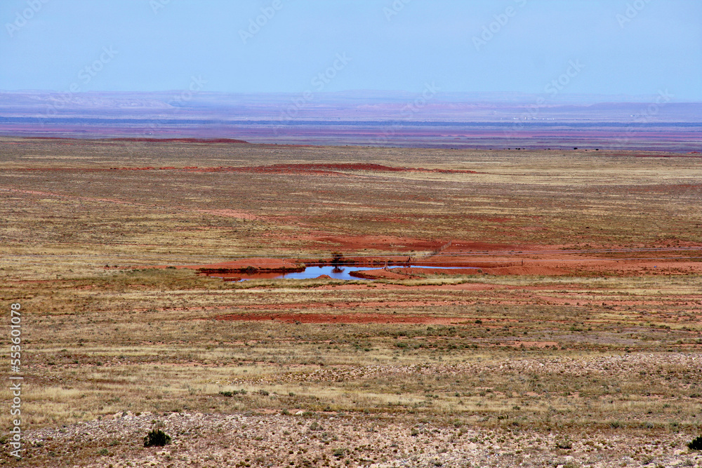 Obraz premium Arizona desert Oasis