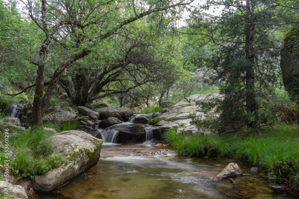Landscape formed by a river in long exposure that crosses the stones and many trees and green vegetation, in Rascafria, community of Madrid, Spain. Landscape formed by a river in long exposure that crosses the stones and many trees and green vegetation, in Rascafria, community of Madrid, Spain.