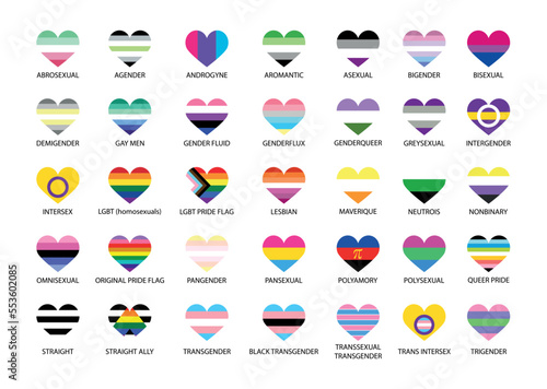 Large set of lgbtq flags in heart shape. LGBT Pride Month illustrations, LGBTQ concept. Gender equality and sexual identity, support for homosexuality. Heart icons set for International lgbt Pride Day