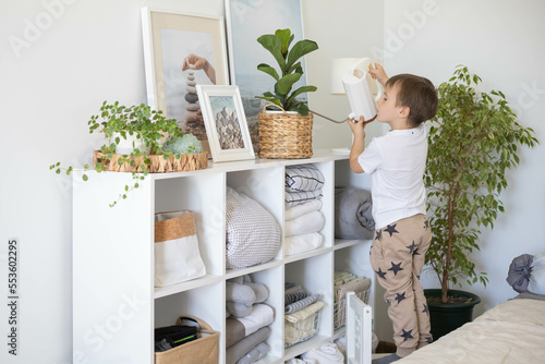 Fotografi Little cute boy is watering indoor plants from a stylish watering can in a designer home interior
