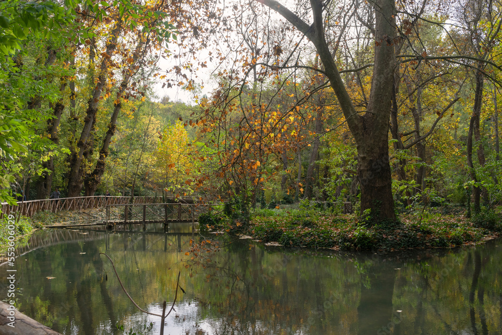 Lake surrounded by colorful trees. Autumn with brown and yellow fallen leaves on the ground. Reflections in the water on an October day in the middle of autumn. Lake surrounded by colorful trees. Autumn with brown and yellow fallen leaves on the ground. Reflections in the water on an October day in the middle of autumn.