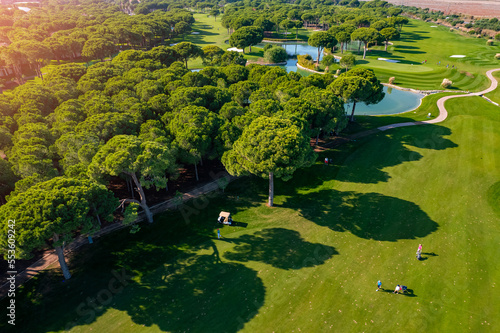 Aerial view of green grass and trees course on Luxury golf field