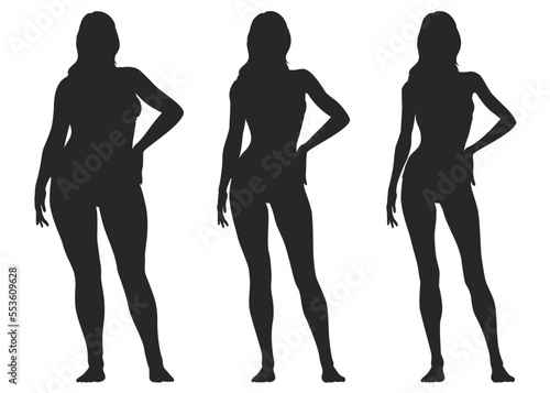 痩せた女性 太った女性 普通体型 女性のボディ比較シルエットセット