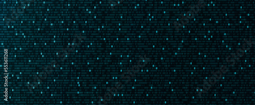 Binary computer code