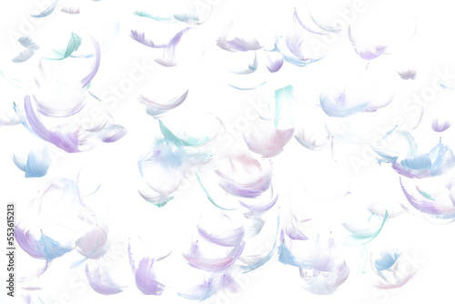 Many Pastel Feather fly fall in Air over white background isolated. Puffy Fluffy soft feathers as purity smooth like dream floating dove in sky. Angle flying from heaven, photo motion