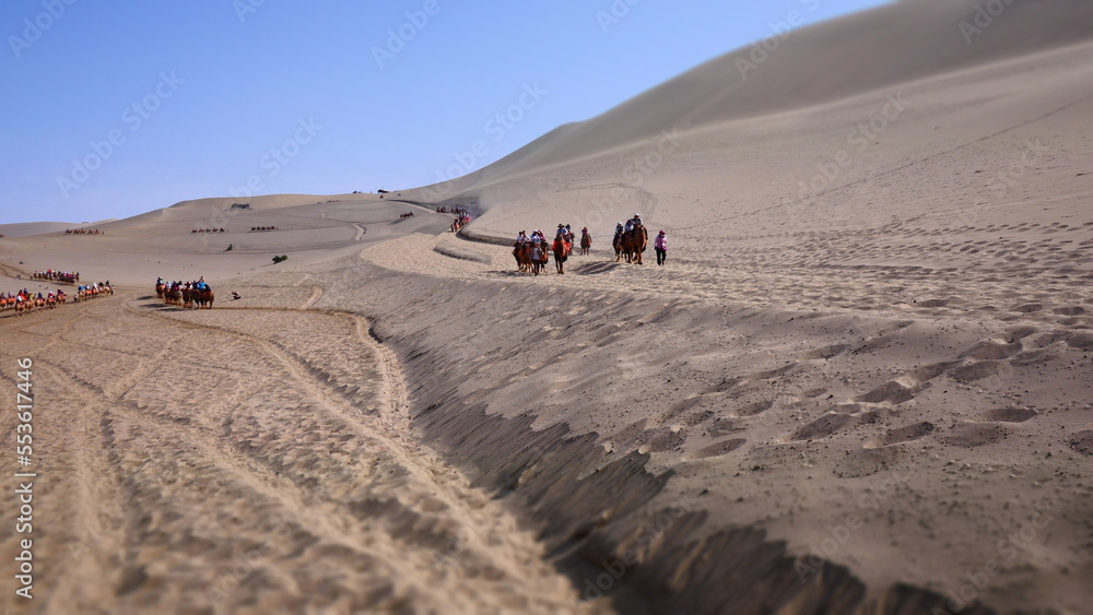 camels as a main form of transportation in desert
