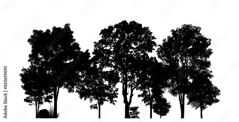Fototapeta premium Isolated forest silhouette on transparent background with intersection and alpha channel