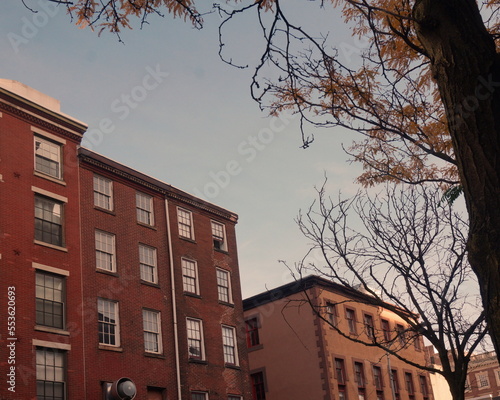 Brick Townhouses with Blue Sky in City