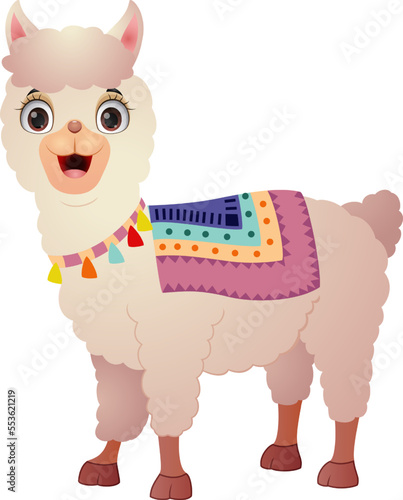 Cute llama on white background