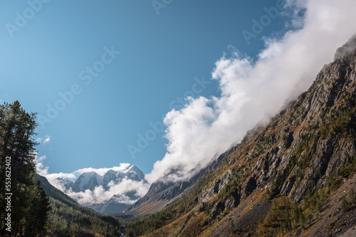 Wallpaper Mural Scenic landscape with forest in autumn mountain valley against large snow mountains in low clouds in morning sunlight. Spruces on hillside with view to sunlit high snowy mountain range in low clouds. Torontodigital.ca