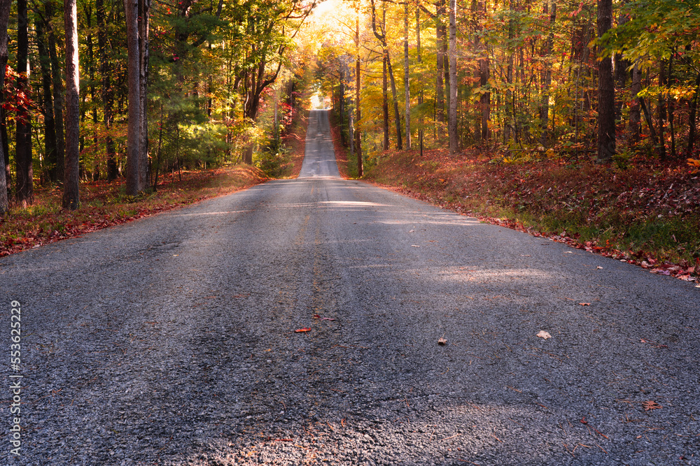 Obraz premium Rural road passing through beautiful autumn forest. Colorful trees and sunlight Fall scene of Tennessee Ave. in Sewanee Tennessee.