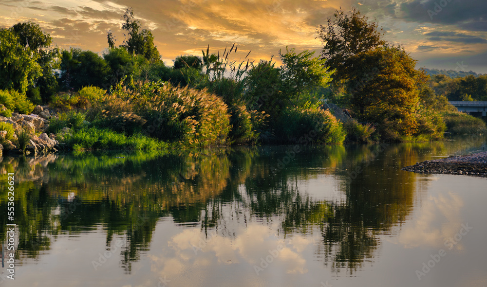 lush green bushes and trees grow along the river and are reflected in the calm water at sunset in turkey lush green bushes and trees grow along the river and are reflected in the calm water at sunset in turkey