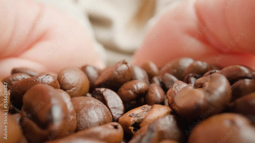 Woman holds in palms handful of brown roasted aromatic coffee beams shining at bright artificial light in studio room macro Woman holds in palms handful of brown roasted aromatic coffee beams shining at bright artificial light in studio room macro
