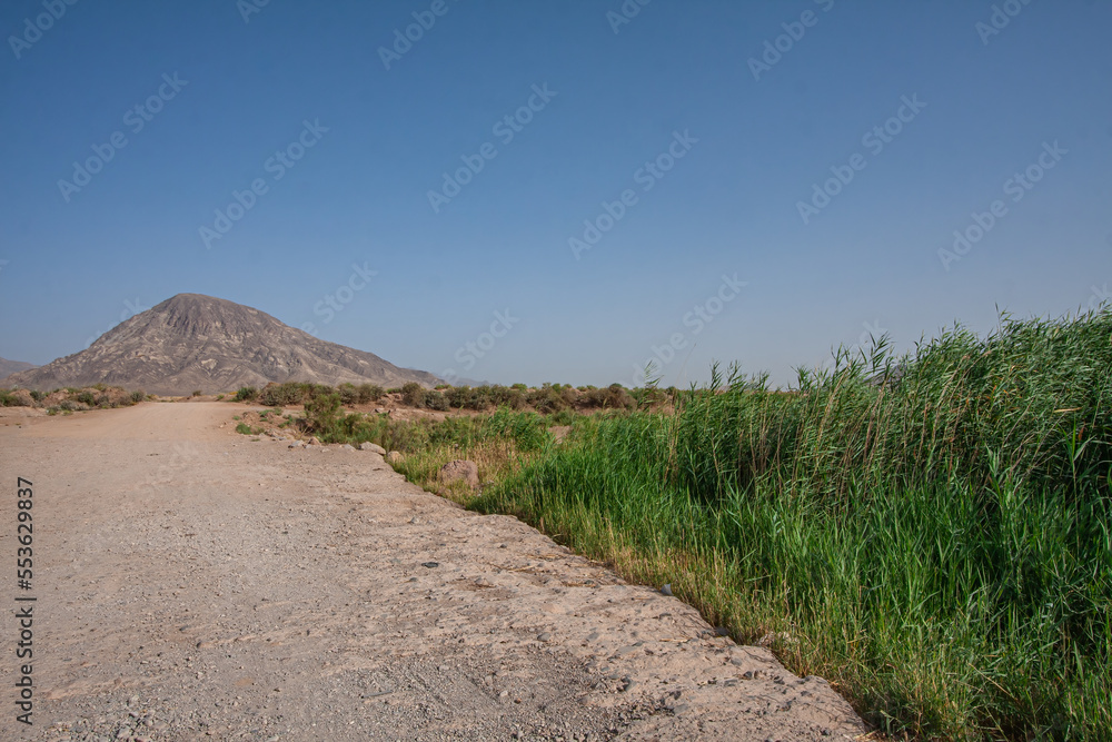 Dirt Road Toward A Mountain Sided With Green Reeds Landscape.