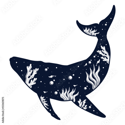 whale surreal sea life